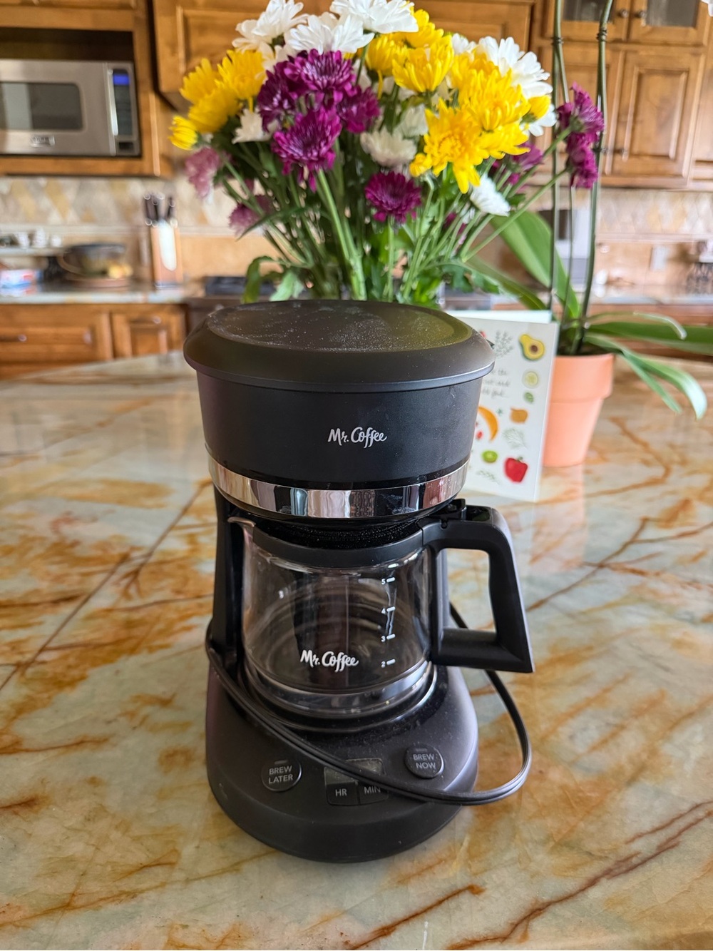 Mr. Coffee Black Drip Coffee Maker with Glass Carafe